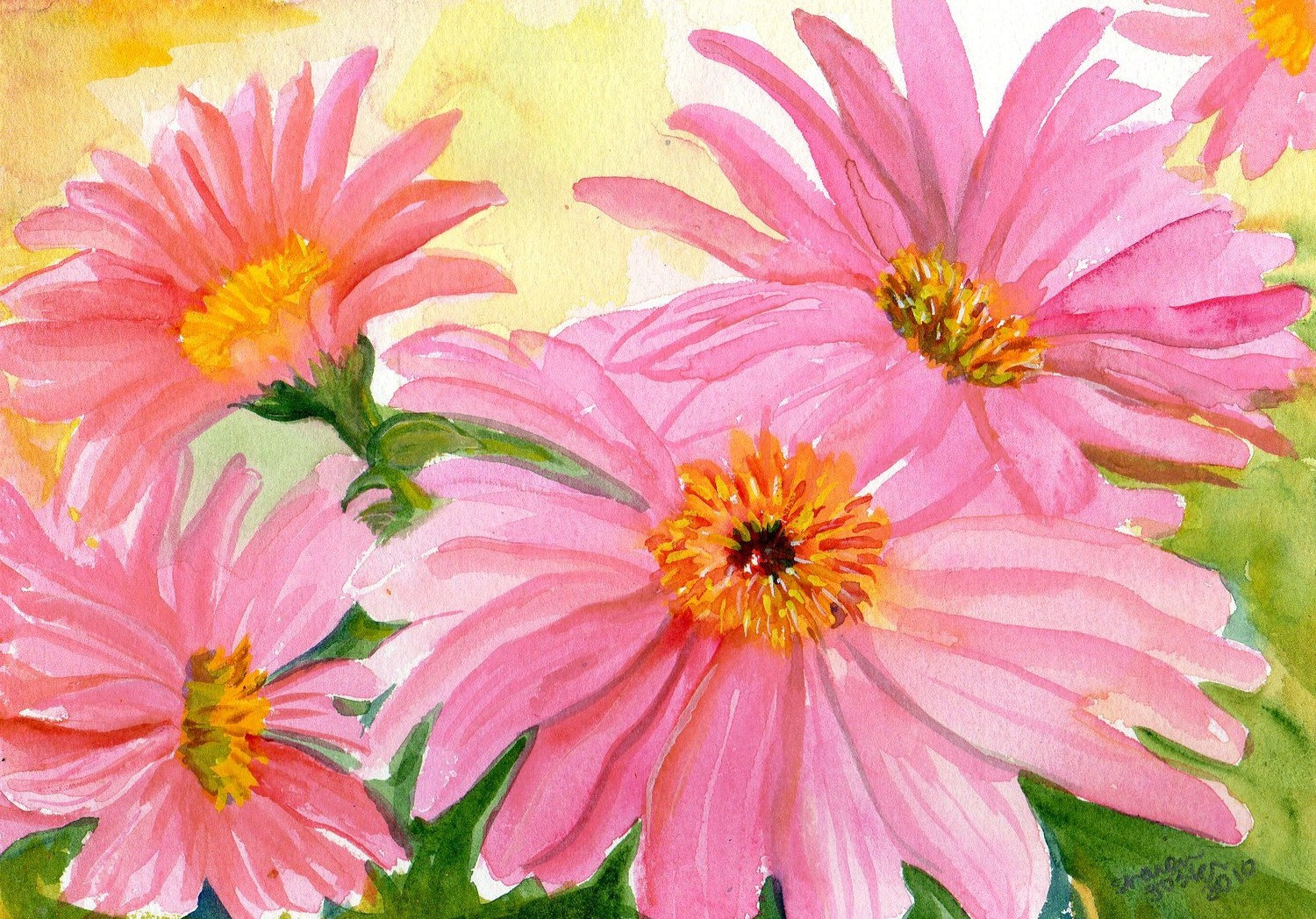 Original Watercolor Painting of Pink Gerbera Daisies