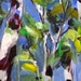 Original 8x16 Acrylic Painting of Tree Trunks in the Sky SAVE the Painting SALE