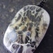 Fused Glass Pendant, handmade glass jewelry - The Science of Wild