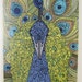 Mr Pavo Real print on 16x20 canvas