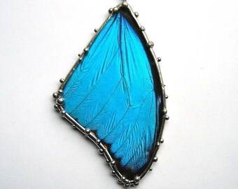 Large Blue Morpho Butterfly Necklace - Real Wings