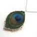 Real Peacock Feather Necklace