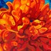 Abstract Fine Art Print - Scarlet Interior