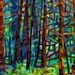 SALE - In a Pine Forest - Small Fine Art Mounted Print Deep Cool Trees