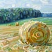 budanArt 8.5 x 11 Print - Early Hay
