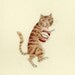 Cat Jam