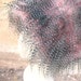 Mutant Flowers KOZY KITTY Hat - Faux fur hat women Raver UV Pink Gray feather fur Polka dot flowers lining