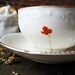 Reclaimed Ivory fine china tea cup and saucer - modern poppy design