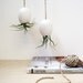 Hanging AirPlant Pod (tm) - Silky Matte White