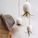 Hanging Air Plant Pod Planter (tm) TRIO - Gorgeous Glossy White and 3 free air plants