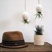 Hanging AirPlant Pod (tm) - Gorgeous Glossy White