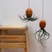 Modern Hanging Ceramic Air Plant Pod (tm) - Contemporary Red Brown Gold