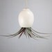 Ceramic Air Plant Vase - Hanging AirPlant Pod (tm) - Silky Matte White by mudpuppy