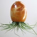 LARGE Red Brown Ceramic Pottery Hanging Air Plant Pod (tm)