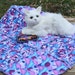 SALE--Handmade Cat Bed In Bright Blue With Hot Pink Geometric Designs
