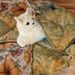 Cat Blanket With Big Golden Flowers And Green Batik