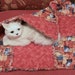 Cat Blanket Covered with Classy Rusty Cats