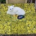 SALE--Cat Blanket In Yellow And Black Squiggles