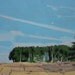 November Stand, Original Landscape Painting on Paper