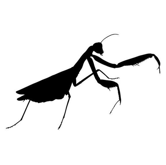 Giant Praying Mantis Vinyl Wall Decal by WilsonGraphics on Etsy