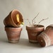 Small Clay Planter Pots, Rustic Limed Earthy Ramekins