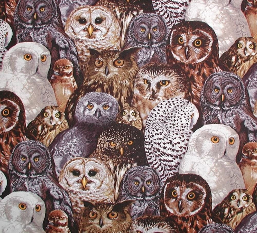 OWLS FABRIC OWL 1 1/4 YARDS All breeds types of beautiful