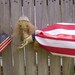 Americana Doll Primitive Patriotic Folk Art Liberty