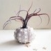 medusa // sea urchin // air plant tillandsia // terrarium