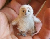 baby barn owl Little wee felted pet critter