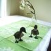 basil green scrolls towel