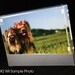 SALE - CUSTOM WII SKIN with PHOTO of your family or pet