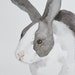 Bunny Rabbit Watercolor Painting, Bunny Art, Rabbit Art, Black and White, Spring Easter Bunny, Original Art