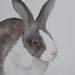 Watercolor Painting, Bunny Rabbit Painting, Bunny Art, Animal Art, Rabbit Art, Black and White Bunny Rabbit, Original Art 5 x 7