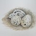 Bird Art, Nature Art, Watercolor Nest and Eggs Painting, Baby Bird, Baby Gull, Original Watercolor Painting, Home Decor, Natural History