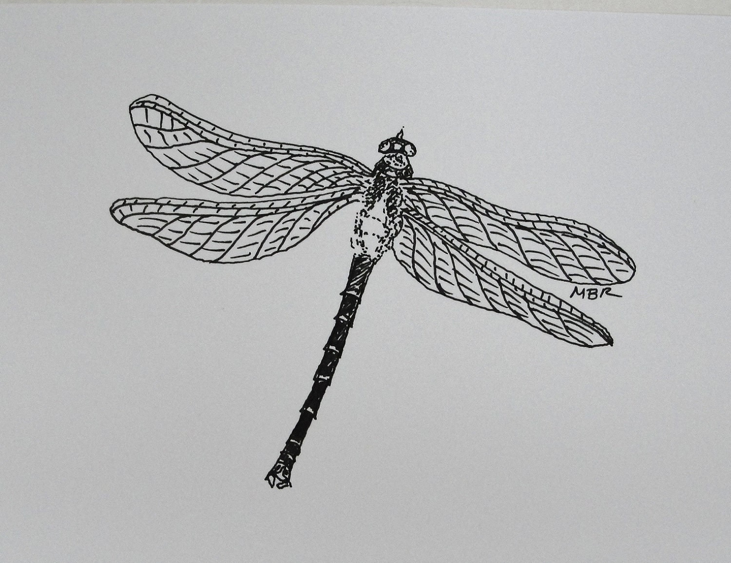 Original Art Ink Drawing Dragonfly Art Black by CapeCodArtnNature