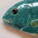 Dorado Royale Ceramic fish art decorative wall hanging