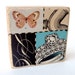 Specimen - COLLAGE BLOCK - Original Mixed Media Collage
