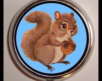 Squirrel Pill Box Pillbox Case Kitsch Kawaii Woodland Creature Animal Art Holder for Vitamins Drugs Birth Control Guitar Picks