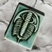 Trilobite Tile Magnet - homegrown NYS variey