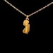 Teensy State Charm Necklace