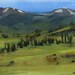 Original Painting Landscape Colorado Mountains 5x7 Acrylic Quick Study - Colorado Meadow by David Lloyd