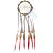 Medium Brown Dream Catcher, Golden Pheasant Tails