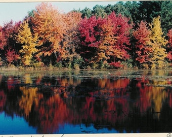 488 Photo Card Cole Pond Boxford, MA Foliage Fall Reflections