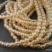 Czech Glass Beads Champagne Luster 4mm Druk - 100