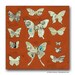 Eco Hostess Gift / Red Butterflies Small Art Print on Wood
