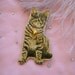 Handsome Cat Portrait Badge