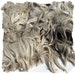 Suri Alpaca Fleece - unwashed from beige Frankie - 1 pound