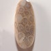 Agatized Fossil Coral Agate Gemstone Cabochon designer cut, lapidary, metalsmith, wire-wrap, jewelry