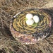 BuLBS and BRaNCHES a new spring series of painted baskets BIRDS NEST