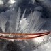 Ice Crystals on a pine needle Winter Ice
